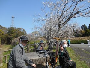 屋外活動(お花見)